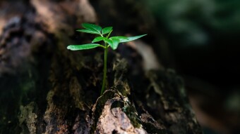 Why I think less is more when it comes to crypto "research"