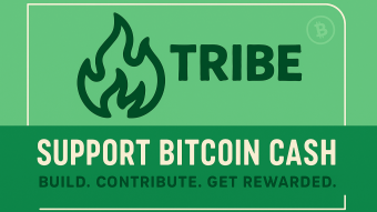 Why TRIBE Matters: Rewarding Builders in the BCH Ecosystem