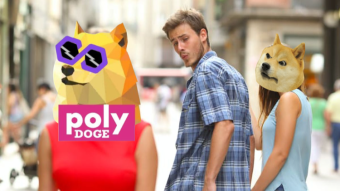 Insane APY and NFTs from Polydoge