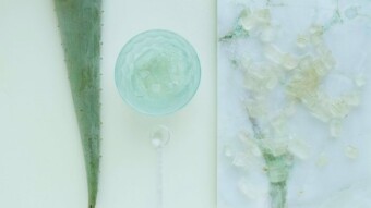 Strange benefits that are available from home-made shampoo