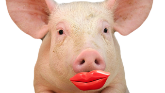 The White House is Redefining 'Recession' - Like Putting Lipstick on a Pig