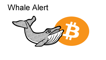 Someone moved Bitcoins worth of $1 billion - Whale Alert