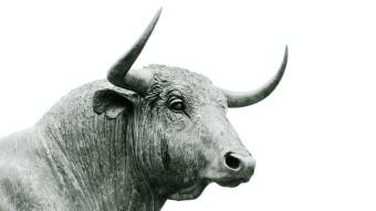 Bitcoin ⚡️ Cycles Explained — Is it Bull Market? 📈 All You Need to Know in 2023