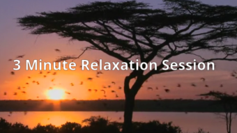 My 2, 3, and 5 Minute Relaxation Videos Uploaded - Give Yourself A Break Every Day!