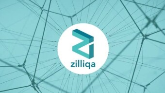 HODL the Damn Zilliqa!