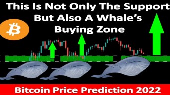 This Is Not Only The Support But Also A Whale’s Buying Zone | Bitcoin Price Prediction 2022