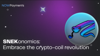 SNEKonomics: Embracing the Crypto-Coil Revolution with NOWPayments and ChangeNOW