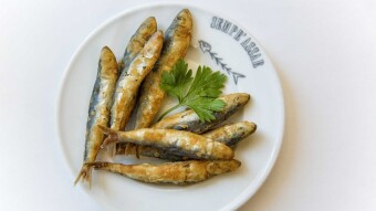 Fried sardines Porto