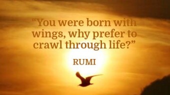 5 Most Famous Versions of Rumi Poem | "Go Head to Bed"
