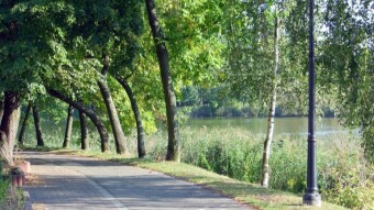 Today there is more optimism, but the weather was awful - My Actifit Report Card: August 24 2024