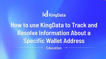 How to use KingData to Track and Resolve Information About a Specific Wallet Address