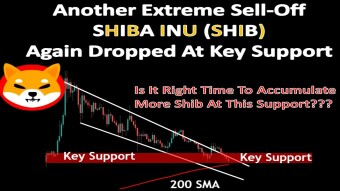 SHIBA INU (SHIB) Again Dropped At Key Support | Is It Right Time To Accumulate Shib ???
