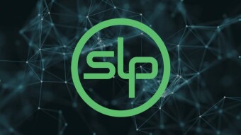 Understanding SLP tokens