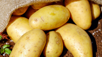The Potato Power