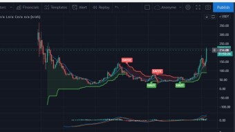 Will Litecoin Bull Run Reach Up To 500 In 2021?