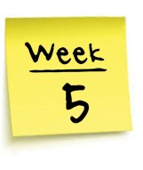 Week 5 : from 0 to 1 BTC - earnings recap