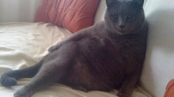 When Seduction is your middle name