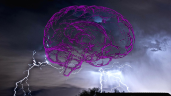 Cryptocurrency Taxation – A Bit Brain Guide
