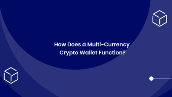 How Does a Multi-Currency Crypto Wallet Function?