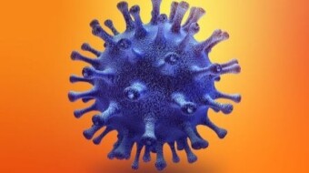 The young doctor diary #3. Coronavirus hit us hard