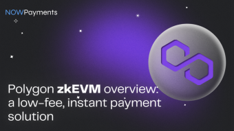 Polygon zkEVM Overview: A Low-Fee, Instant Payment Solution
