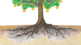 Bitcoin Taproot - Years In The Making