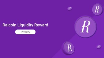 Raicoin Bridge to Binance Smart Chain + Liquidity Provider Reward