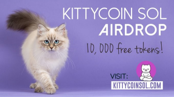 🔥 Kittycoin (KSOL) 👉 Fun Solana Based Memecoin Boasting super fast & cheap transactions, deflationary supply, a soon-to-launch NFT platform, and an Exchange DEX.