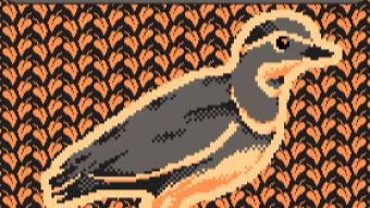 For The Birds! Updates