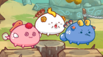 Axie Infinity — Tarung Pet