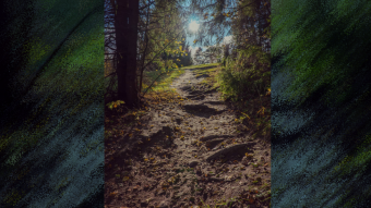 What does a video taken on a phone in the park look like while walking?