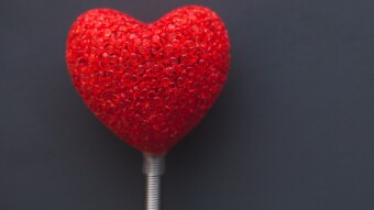 For My Love