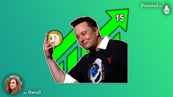 ELON MUSK HITS AGAIN! The Doge's rise!💥📈