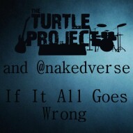 If All goes Wrong  - Deggsy /The Turtle Project