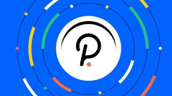 Parachains Bonanza - Burned SUB To Make 100 DOT