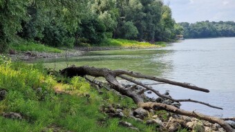 Liberland #nature