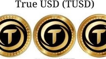 TRUE USD 100$