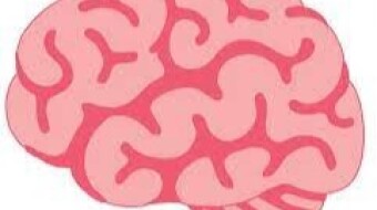 Proof of Brain NFT Giveaway has arrived