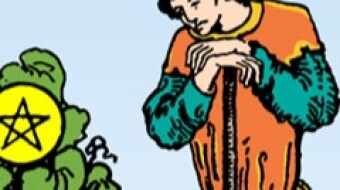Looking at the Full Moon in Leo. Let's go for a week full of dynamism!!The 7 of Pentacles - 22/01/24
