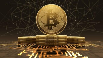 BITCOIN WHALE and SATOSHI