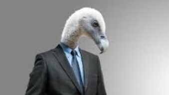 Inside JaiChai's Head: Life in the Crypto Space...