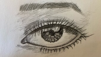 Comparing Eyes: Course completion assignment