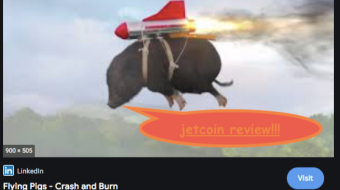 CRASH N BURN Jet NFT review -  sportsfans -- can't win em all, sometimes ya gotta take the big "L"