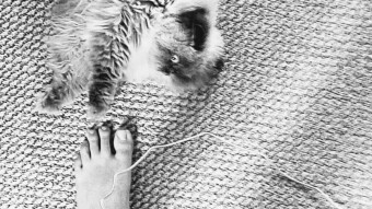 Toe The Line