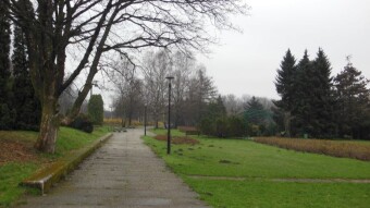 More winter than spring, but we can do it - My Actifit Report Card: April 2 2023