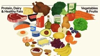 The Great Dietary Reset: Is the USDA Pyramid Finally Facing its “Galileo Moment”?