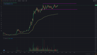 Trading Spotlight - Cryptocurrency Celo ($CELO)