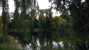 Fabulous, colorful and full of birds - My Actifit Report Card: June 13 2024