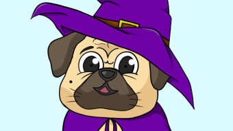 Good Luck Pug — The NFT Project Bridging Pet Charities to the NFT Space
