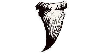BUDOS BAND - LONG IN THE TOOTH - 2020 NEW LP from SHAOLINS FINEST!